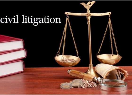 Know Everything About Civil Litigation Lawsuits